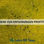 Wie Tiere auf Stimme und Klang reagieren
