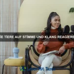 Wie Tiere Stress abbauen